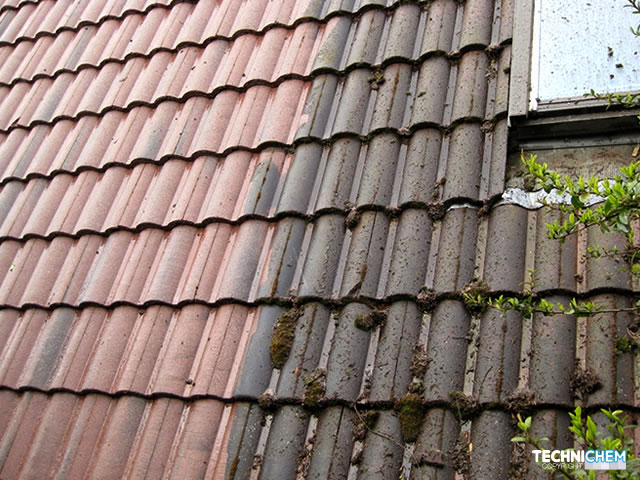 Très bon antimousse universel pour toitures, terrasses et murs